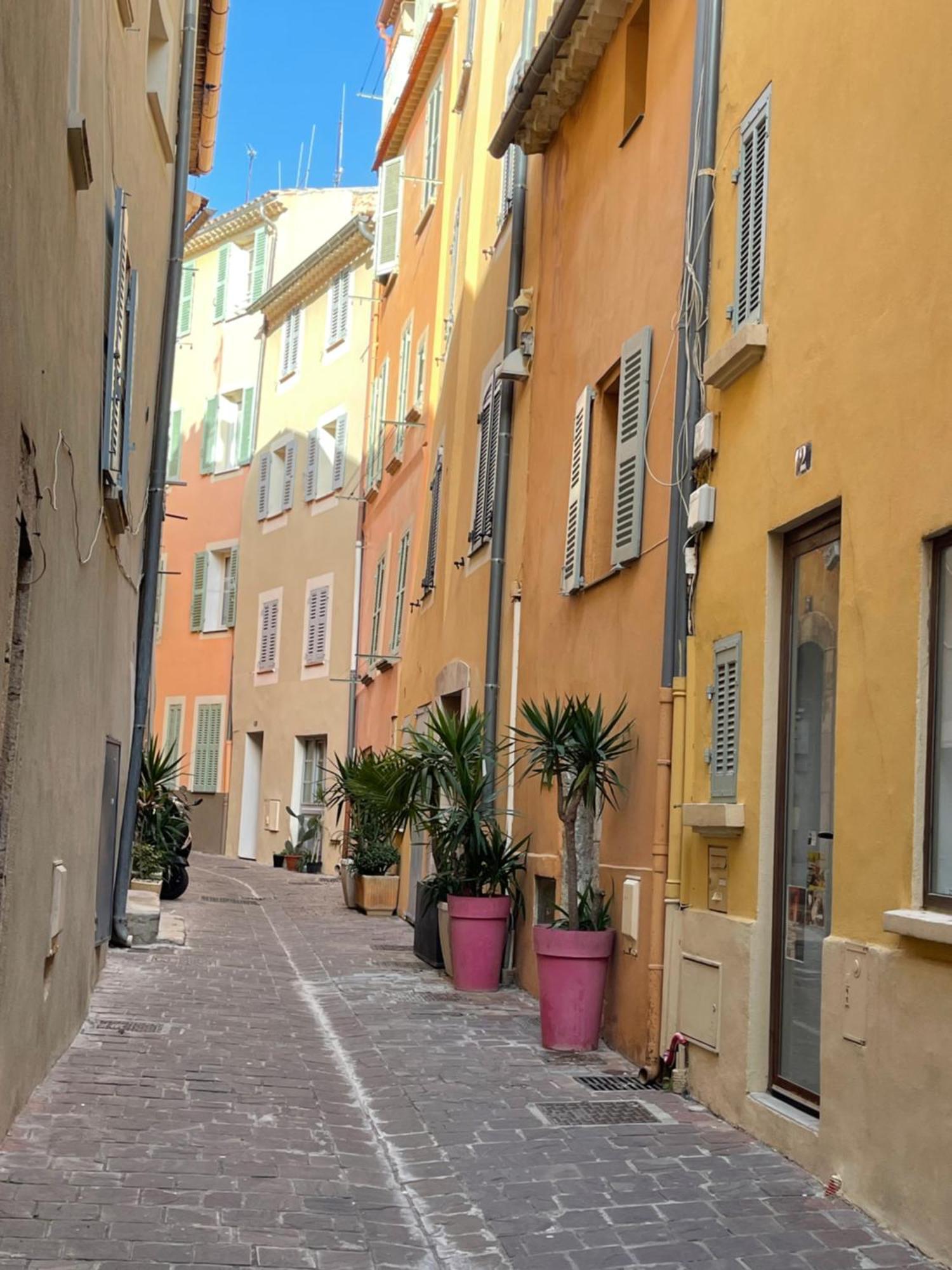 Le Palmae, Serenite Et Charme En Coeur De Ville Hyères Extérieur photo