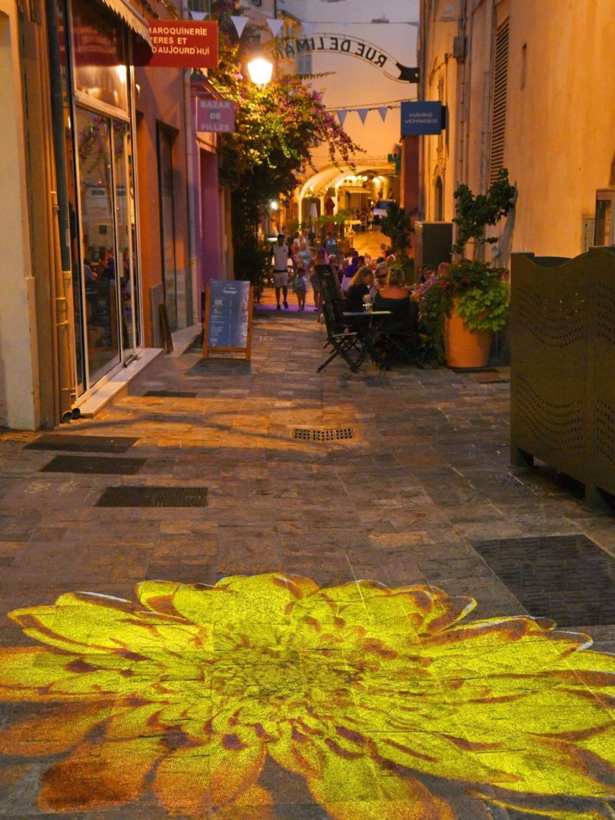 Le Palmae, Serenite Et Charme En Coeur De Ville Hyères Extérieur photo